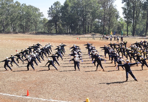 Formation Display