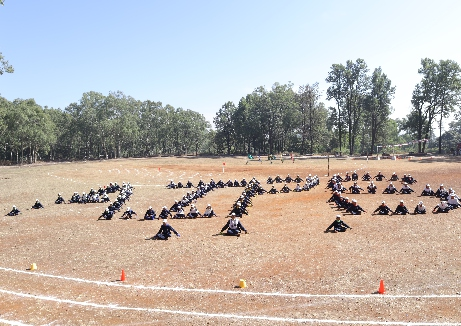 Formation Display