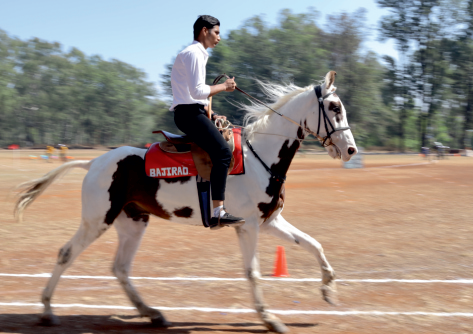 Horse Riding